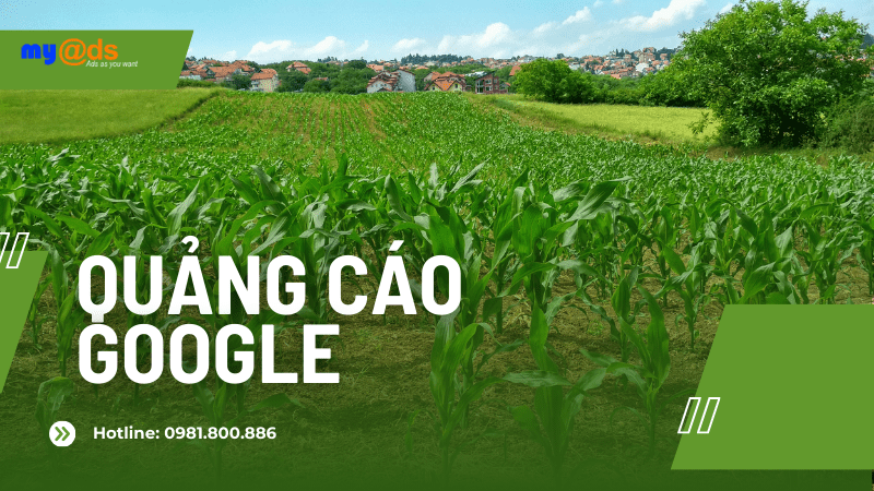 Dịch vụ quảng cáo google trong lĩnh vực nông nghiệp